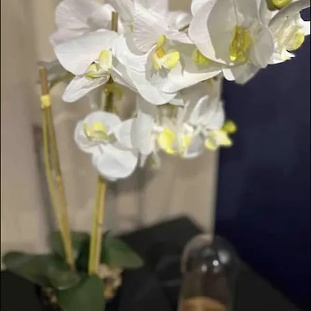 דירה Grand T2 Chic Proche Circuit Tram Centre