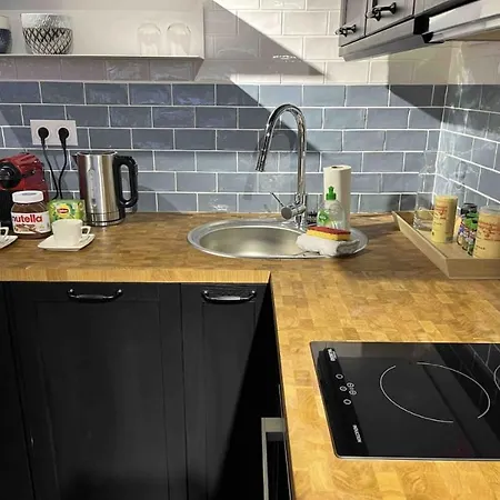 Grand T2 Chic Proche Circuit Tram Centre לה מאנש